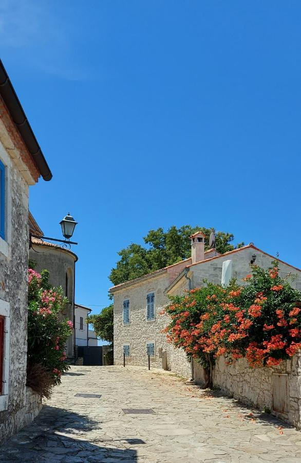 The Istrian Villa Vrsar Dış mekan fotoğraf