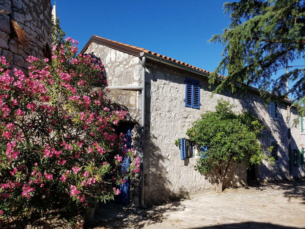 The Istrian Villa Vrsar Dış mekan fotoğraf